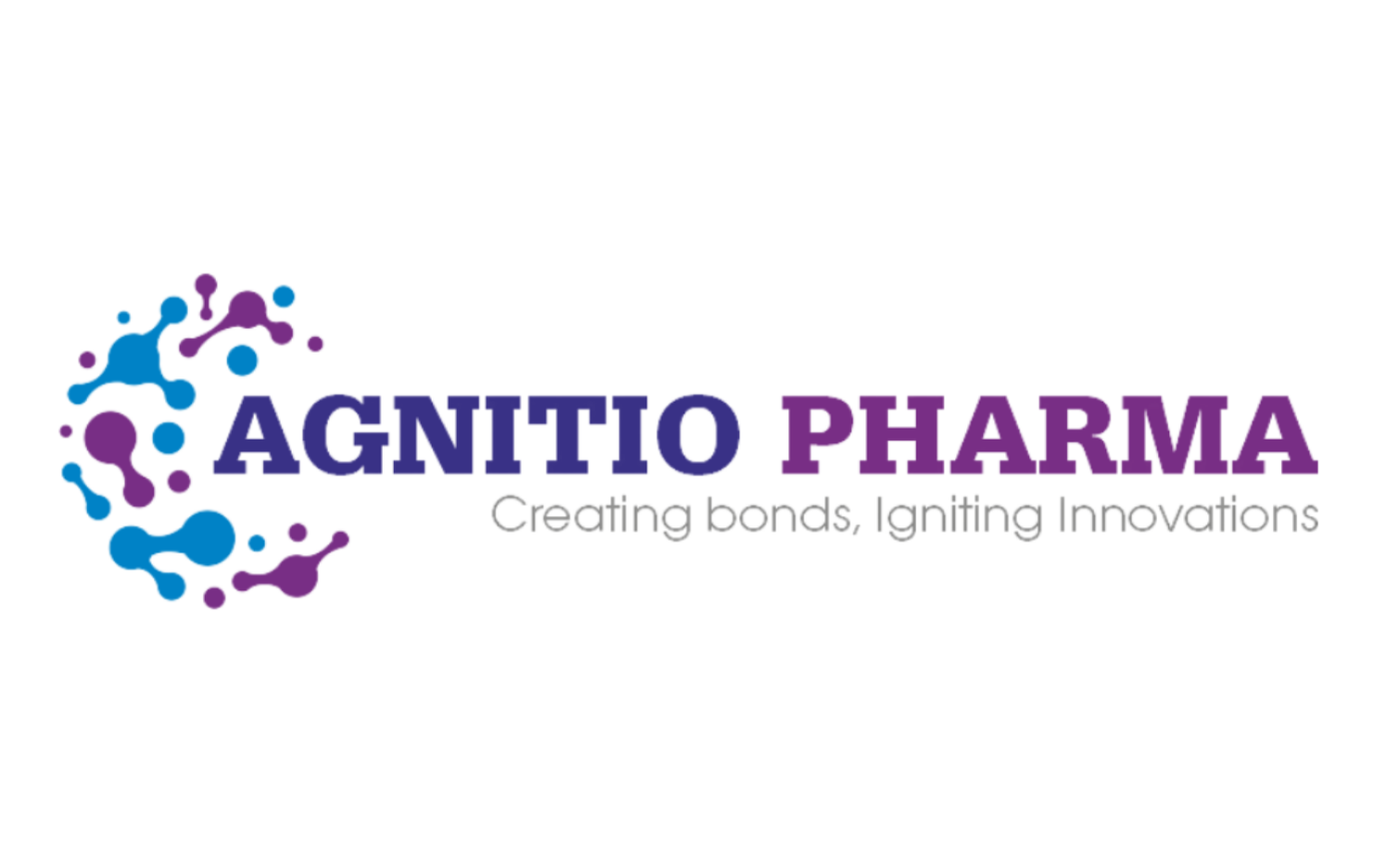 Agnitio Solutions pvt. Ltd.